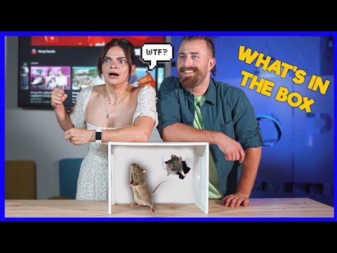 რა დევს ყუთში @TeonaChachuaTC -სთან ერთად