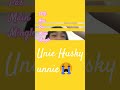 bagaimana kelanjutan nasib Husky dan aku🗿 #memes #funny