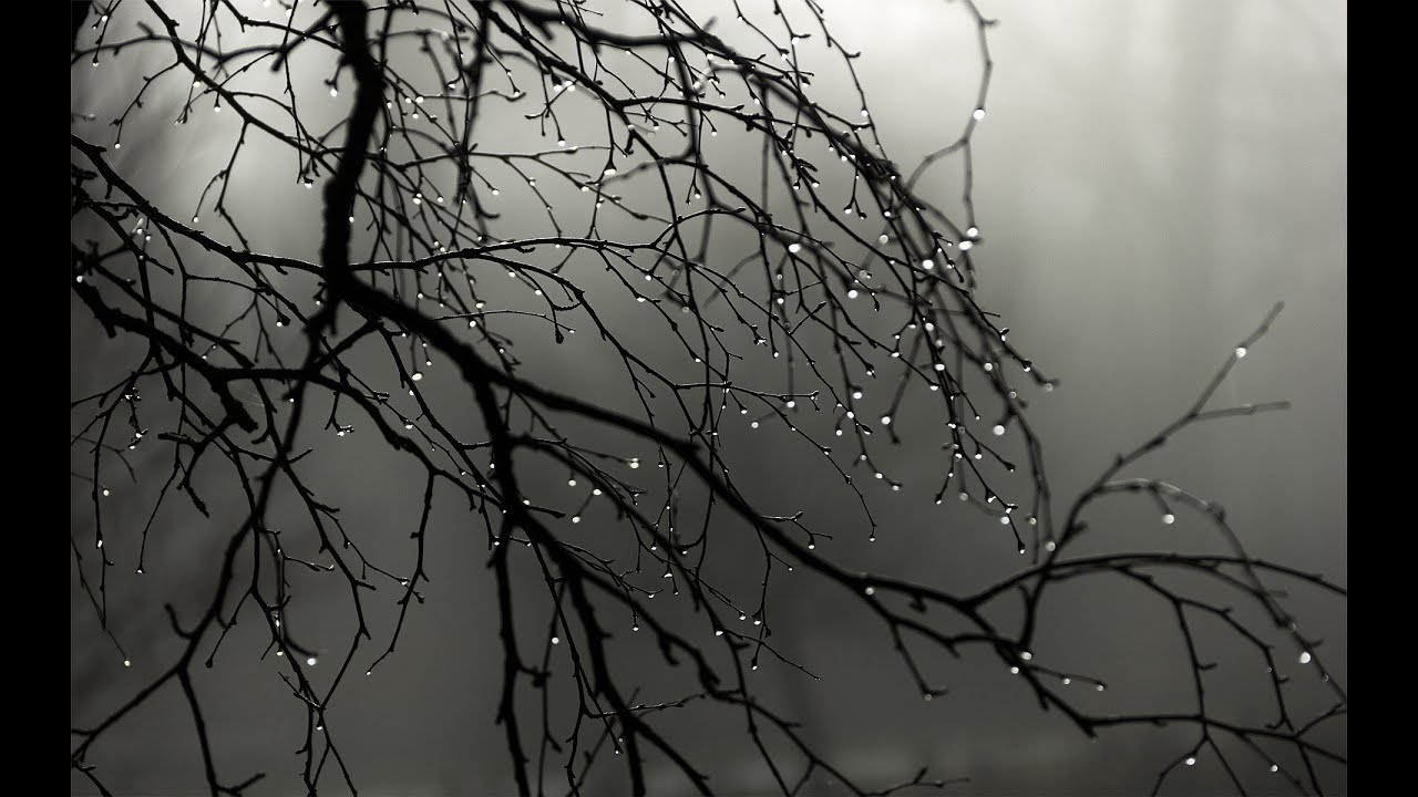 helge-lien-trio-shitoshito-raining-quietly-album-guzuguzu-2017