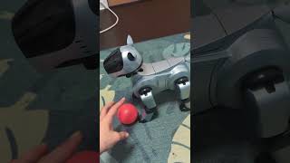 Jumpy with Aibo-Life 2