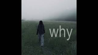 [FREE] deftones + shoegaze + alternative rock type beat - WHY