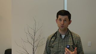 Updates on recent COVID-19 and Influenza numbers around Montana
