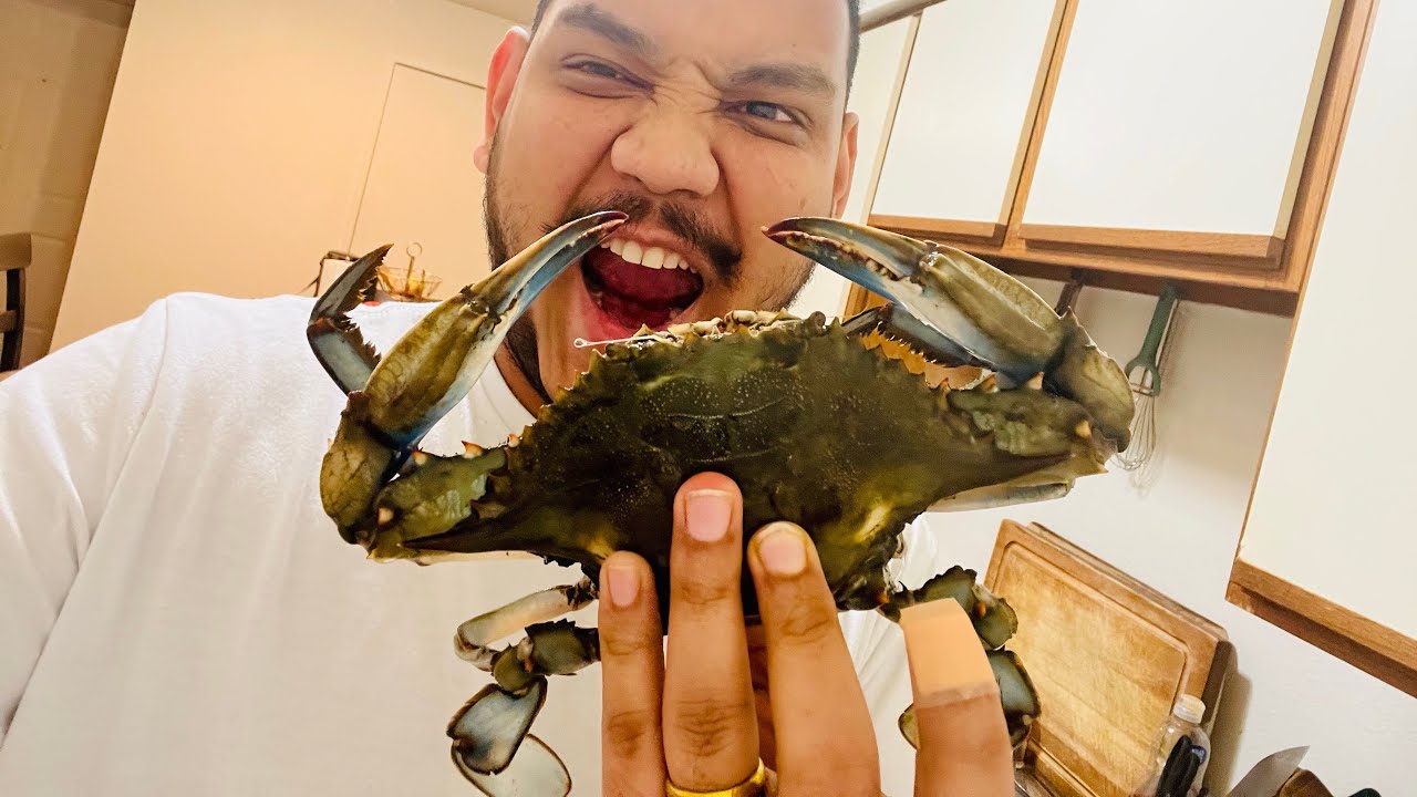 How to eat Blue Crab | Crab Eating Mukbang | Blue Crabs - YouTube