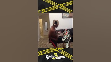 These Jelletons are so annoying - Splatoon 3 (Side Order)