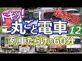 【最終回】ドキッ！丸ごと電車 列車だらけの60分 12時間目 ～ながら見鉄道動画(BGV)～ (60 minutes train video Part.12)