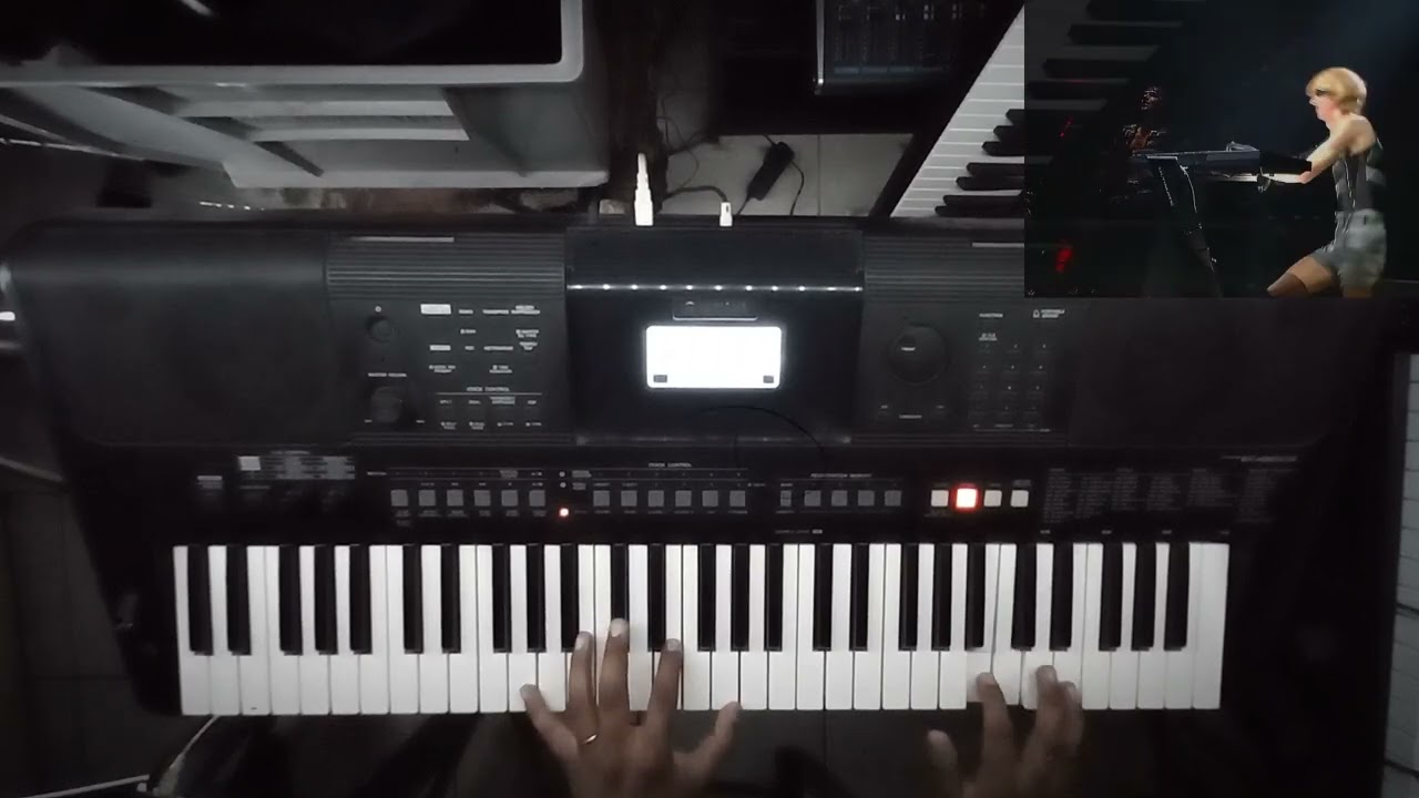 Rammstein - Asche Zu Asche Keyboard Cover 