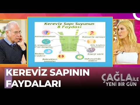 Video: Kereviz Sapı Rot Bilgisi - Kereviz Bitkilerinde Sap Çürüklüğünü Tanıma ve Tedavi Etme