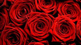 Red Roses for a Blue Lady - Backing Track