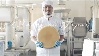 日本がチーズ王国になれるように／楽天「国産チーズの美味しさ、楽しさ、新発見 “チーパーク”」PR映像