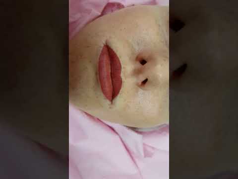Lips Cosmetic Tattoo Permanent Makeup by El Truchan @ Perfect Definition 