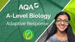 Aqa A Level Biology The Adaptive Immune Response