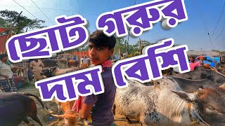 কোরবানির গরু কেনা হল না || পাড়াগ্রাম হাট || Purbasha Agro