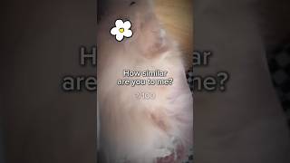 How Much Are You Like Me? Comment
