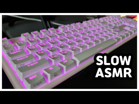 【SLOW ASMR】 HANSUNG CHF4X⌨️ | NIZ EC (Noppoo) | Keyboard Typing ASMR | No ADs No Talking😴