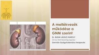 hpv év tünetei neuroendokrin rák xenograft