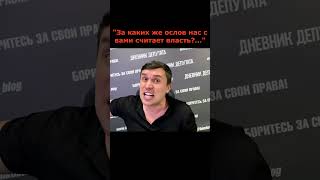 Бондаренко Жёстко Высмеял Новую Инициативу Власти