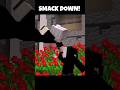 Smack Down! 🤨☠️ #shorts #minecraft