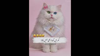 Funny poetry status for friends 😂||Urdu poetry funny video🤣#poetry #funny #ytshorts #subscribe