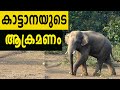 Latest Elephant attack in kerala road 2020 | കാട്ടാനയുടെ പരാക്രമം  #elephantattackinkerala