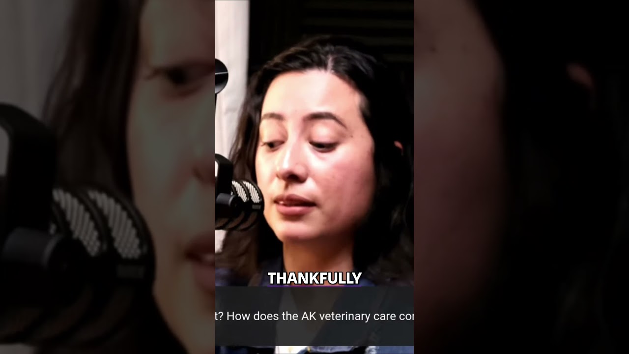 Top notch Veterinary Care  Discovering the Perfect Vet for Your Furry Friend 