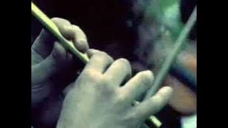 Quinta do Bill - No Trilho do Sol