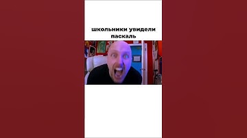 Самая ЖИЗА про языки программирования и it  #Shorts #coding #python #programming #datascience  #айти