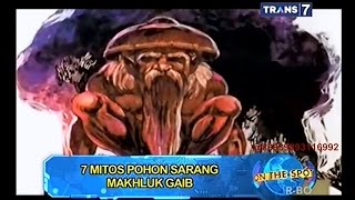 On The Spot - 7 Mitos Pohon Sarang Makhluk Gaib