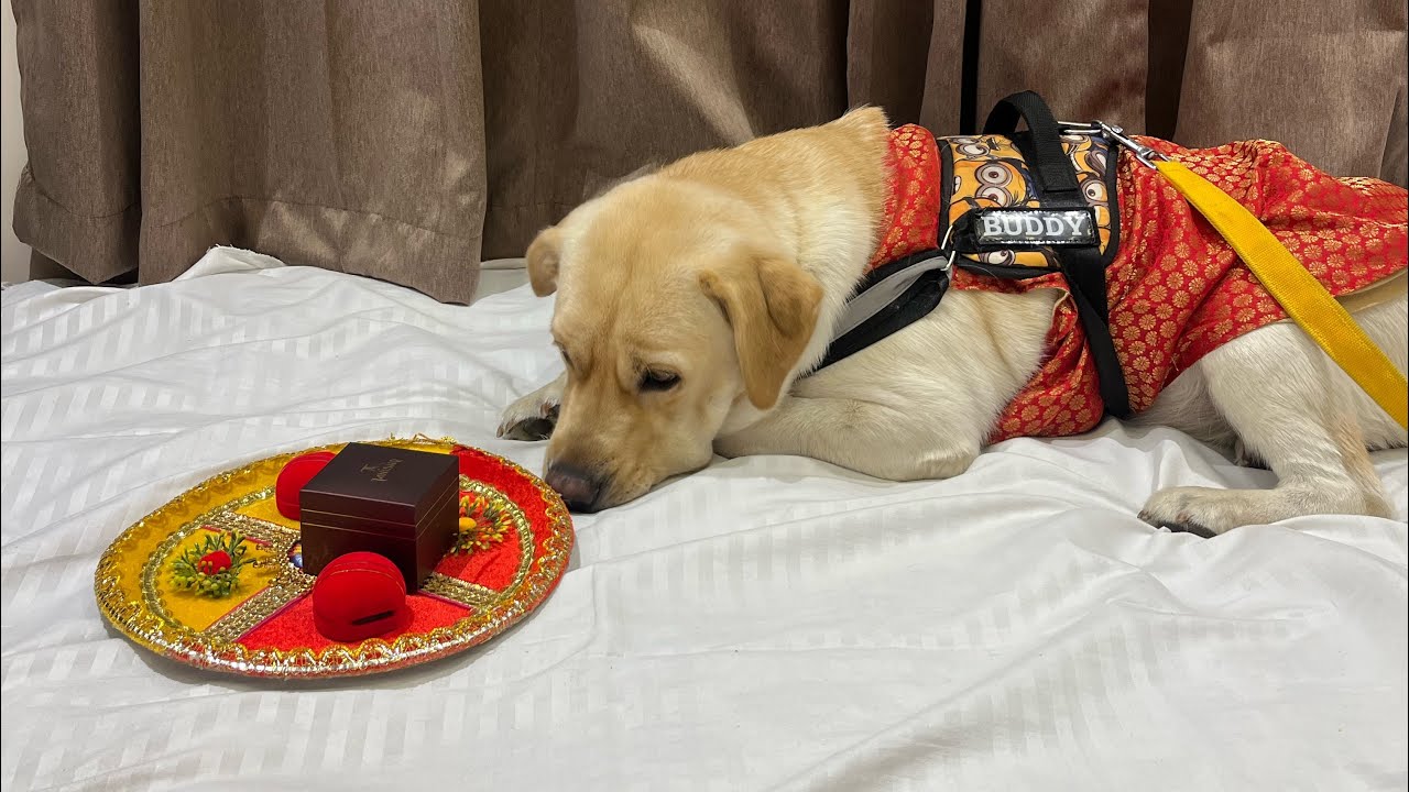 This Trick Changed Everything 💥play time minivlog 