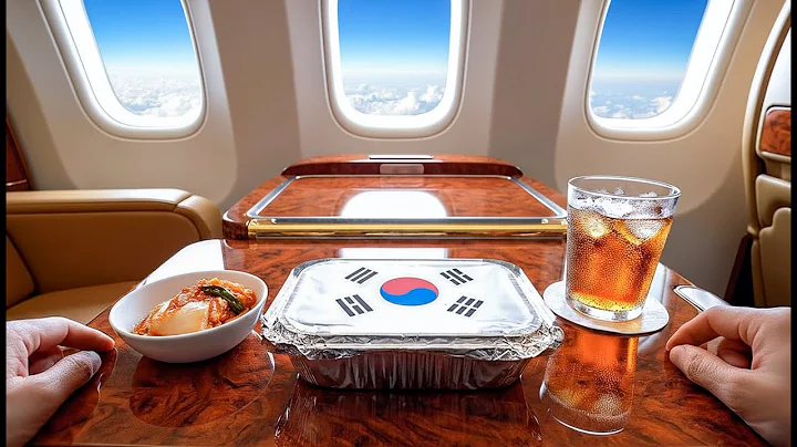 Which First-Class Meal Would You Pick? ✈️ Countries Ultimate Airplane ASMR 🎧