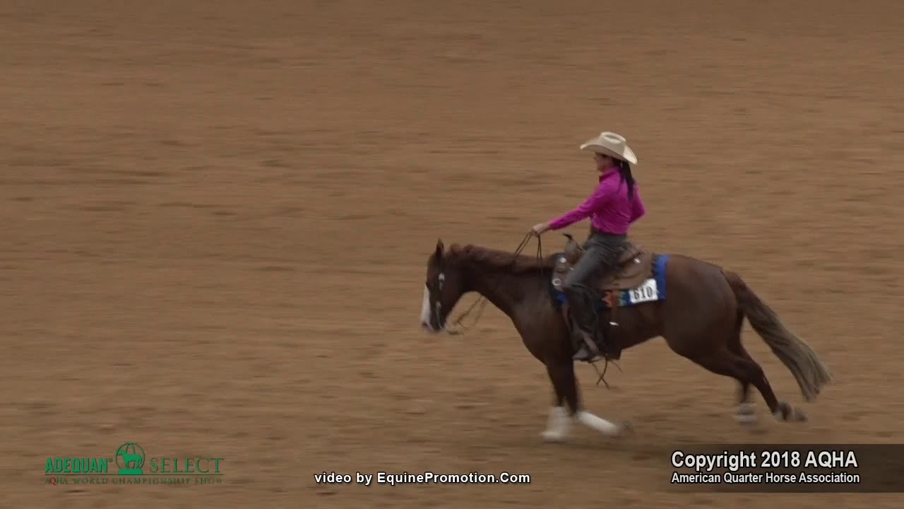 2018 Aqha Select Reining Youtube