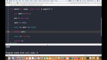 C++ mit Xcode programmieren - Dynamische Speicherreservierung auf dem Heap