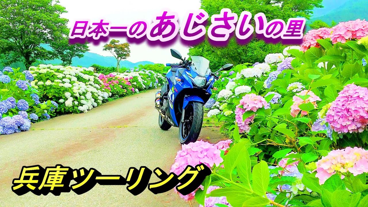 兵庫ツーリング】日本一のあじさいの里を目指しているのも納得！美しい