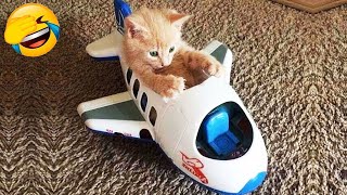 New Funniest Cats and Dogs Clips 2025😼🐶Try Not To Laugh😜😍 Part 5