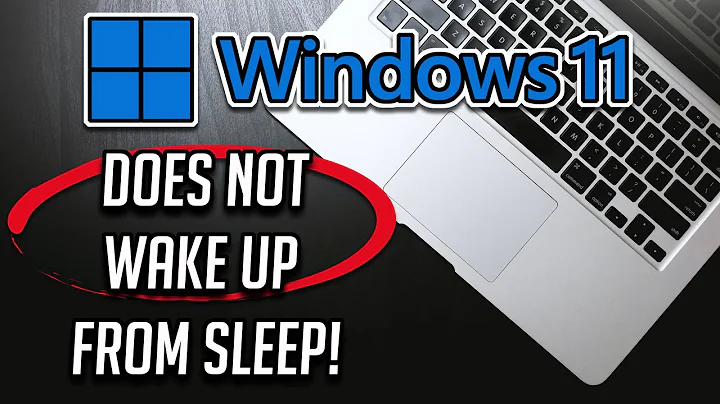 Windows 11 Does Not Wake Up From Sleep FIX