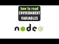 How to read environment variables in NodeJS v20 TUTORIAL