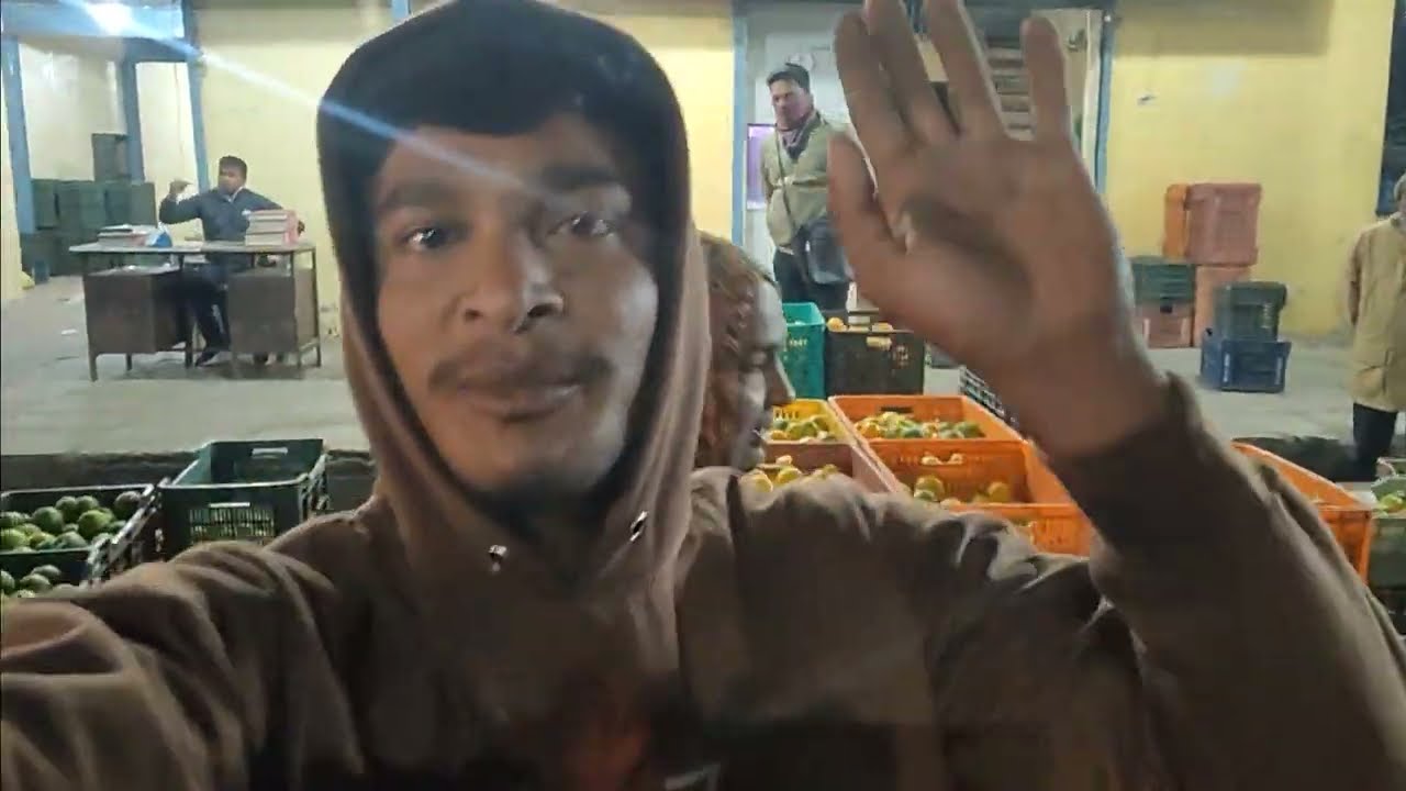 Winter Fruit Claims Gacha for MYTHICAL FRUIT SKINS Blox Fruits Christmas Update 