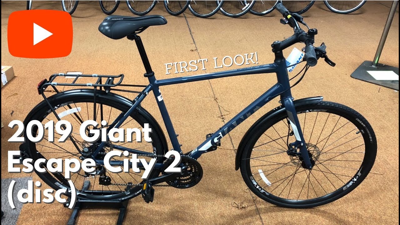 giant escape 2 disc hybrid bike 2019