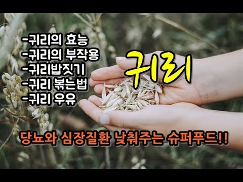 10대 슈퍼푸드 귀리의 효능과 부작용!! 귀리우유로 배불리 다이어트하는 방법!!