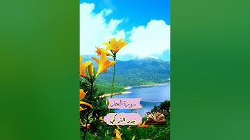 قران كريم| سورة | النحل | بصوت | القارئ الشيخ | بدر التركي | المصحف المرتل