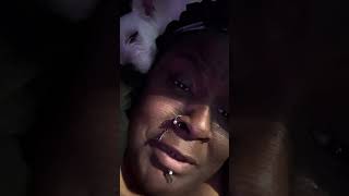 Super bbw life : da lil service dog in training from hell nap time