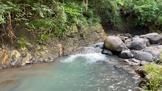 Jungle Stream Experience 🌊 Fall Asleep Fast, Natural Water Noise &amp; Calm Mind