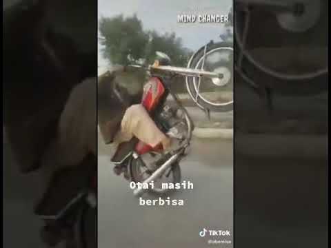 Otai Masih Berbisa Youtube