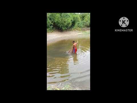 Nang lambat kami ng tilapya at karpa sa fish pond ni papa. Nang lambat kami ng tilapya at karpa sa fish pond ni papa.