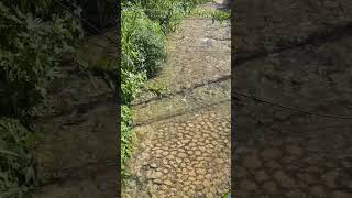 Church River, St Anns Bay, St Ann, Jamaica