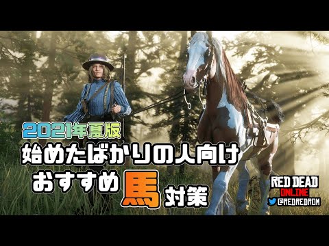 【RDO】始めたばかりの人向けおすすめ馬対策：2021年夏版。序盤の馬の改善方法と初めて買う馬のおすすめを紹介してます。また始めたばかりの人でなくても役立つ情報を含めてます♪