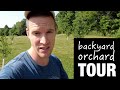 Backyard Orchard Tour | Pomegranate, Apple, Pear, Plum, Peach, etc.