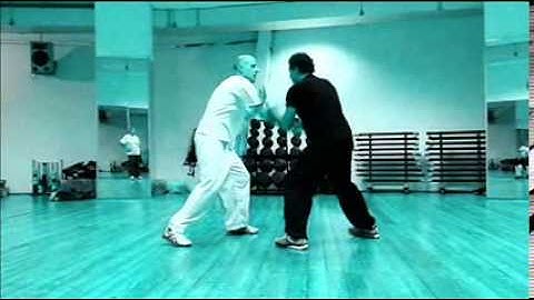 Tui Shou Advanced "Push Hands"Tai Chi Chuan.  www.taijiacademyroma.com