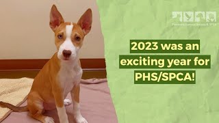 PHS/SPCA 2023 Recap: Animals You Helped Save!