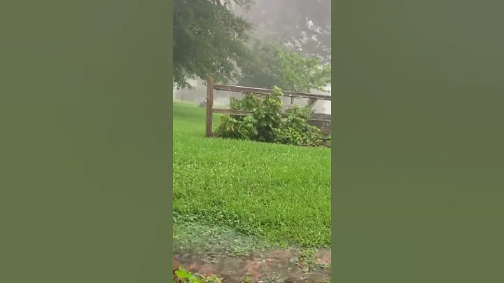 SWEET SUMMER RAIN