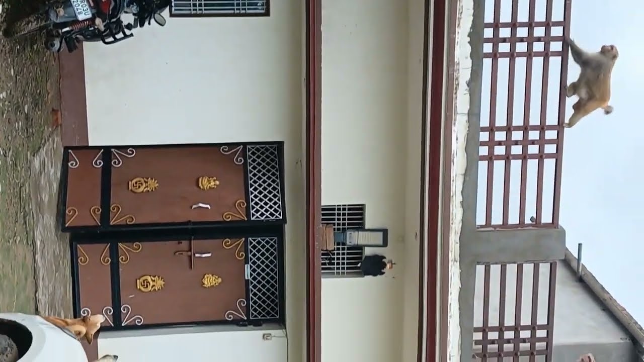 || 1k subscribers || 4k watch time complete ✅ || Tq for all of you ||🙏🙏🙏🙏|| 12_10_2025 ||